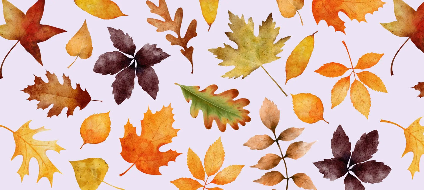 Fall stationery with autumn notebooks, stickers, pens, and cozy gifts