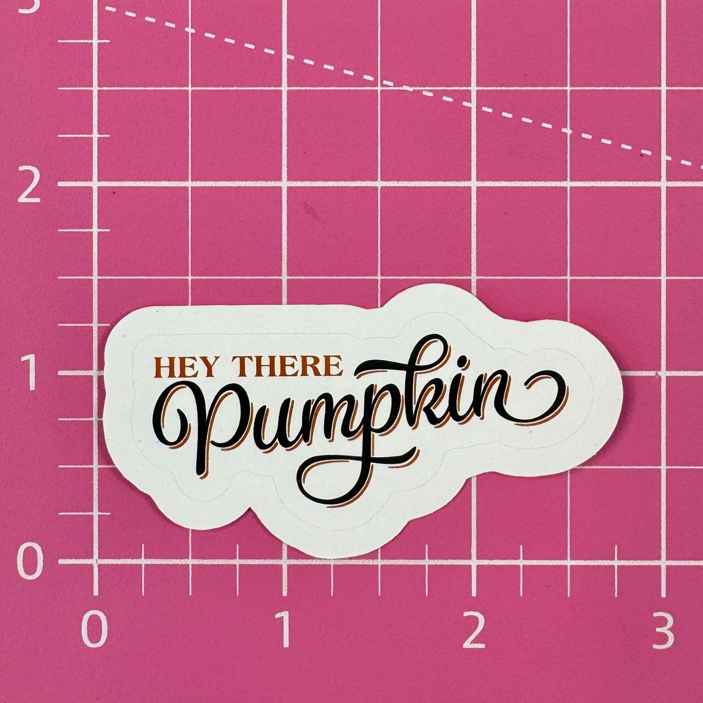 Decorative sticker with 'Hey There Pumpkin' text on a pink grid background